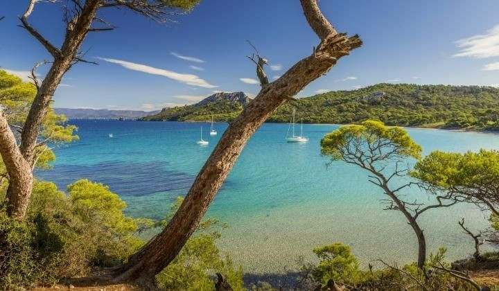 © Adobe Stock Plage de Notre-Dame entre les pins - Porquerolles - Provence