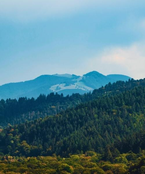 freiburg_im_breisgau_c_unsplash_.jpg