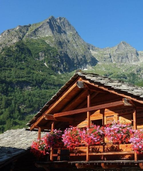 © Raymond Chabanier Gite fleuri dans le Grand Paradis