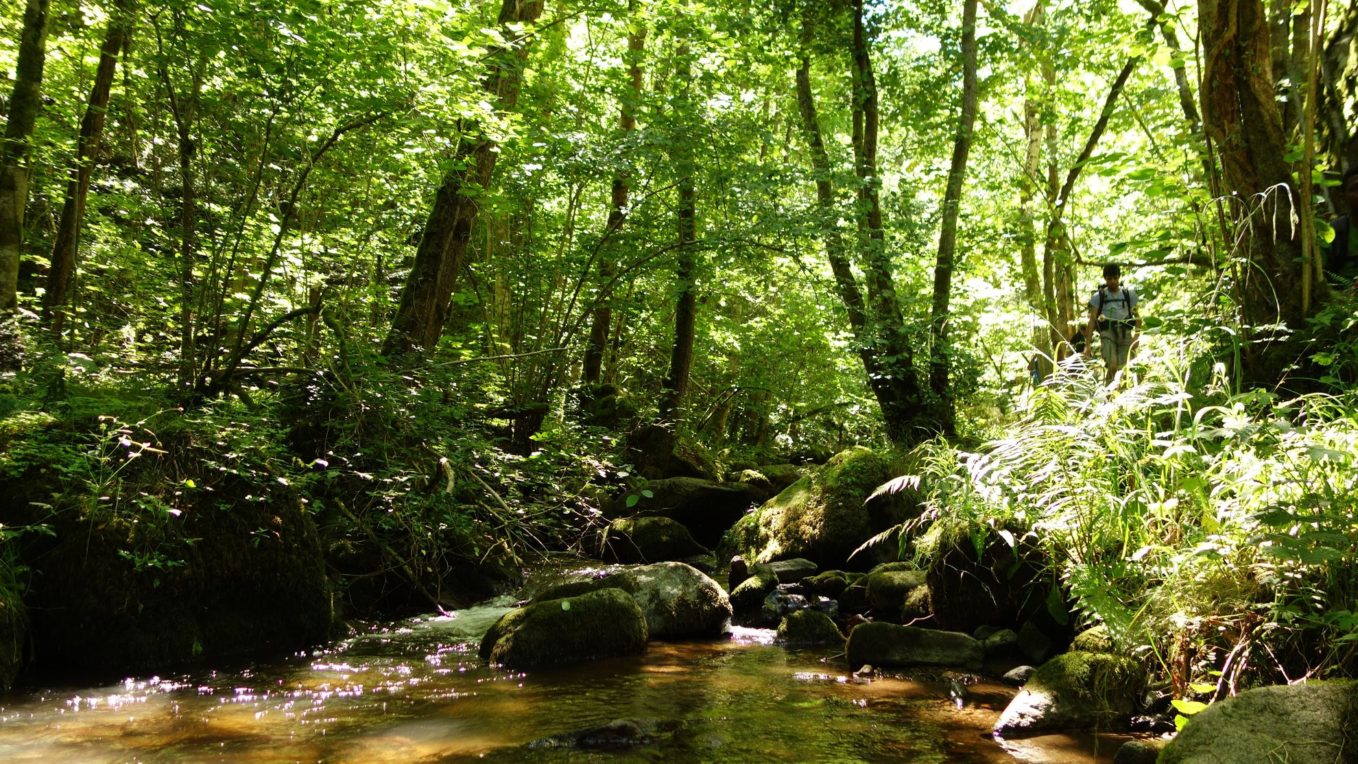 © Rmezonnet gorges-monne-propice-aventure_rmezonnet