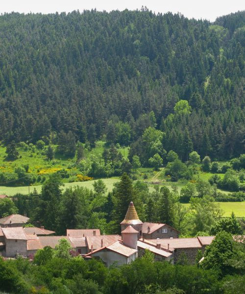 Village de Goudet - Haute-Loire - France