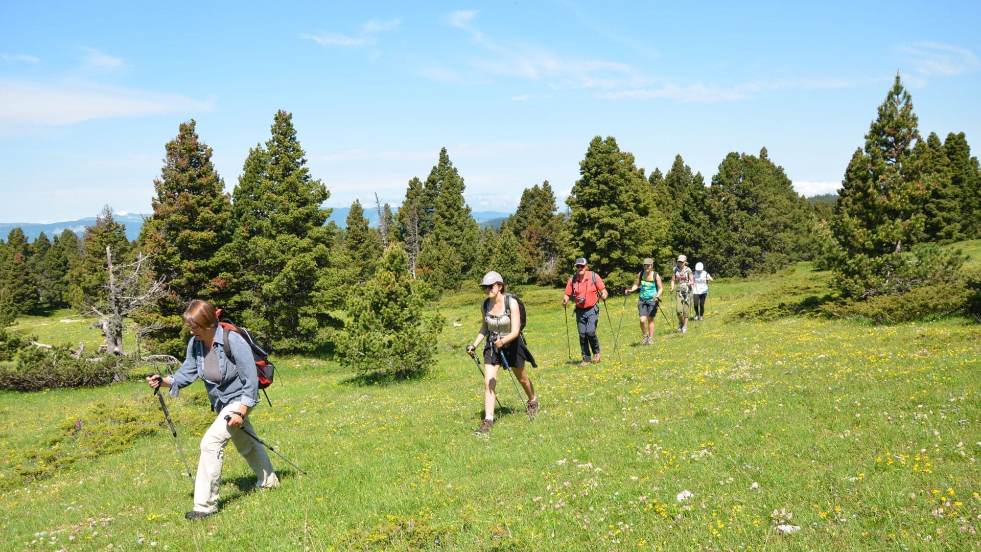 Parc National du Grand Paradis - Val d'Aoste - Italie
