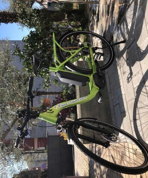 Velo electrique vert avec batterie - Jardins mediterraneens - Croatie