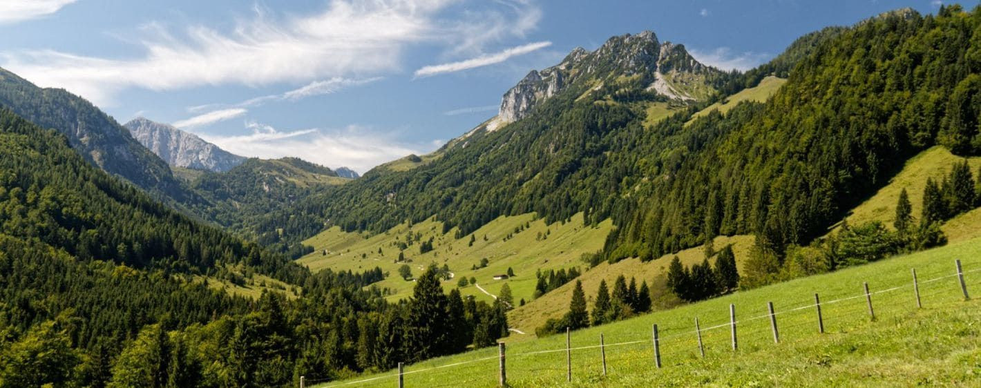 Paysage verdoyant autour de Walchsee - Tyrol - Autriche