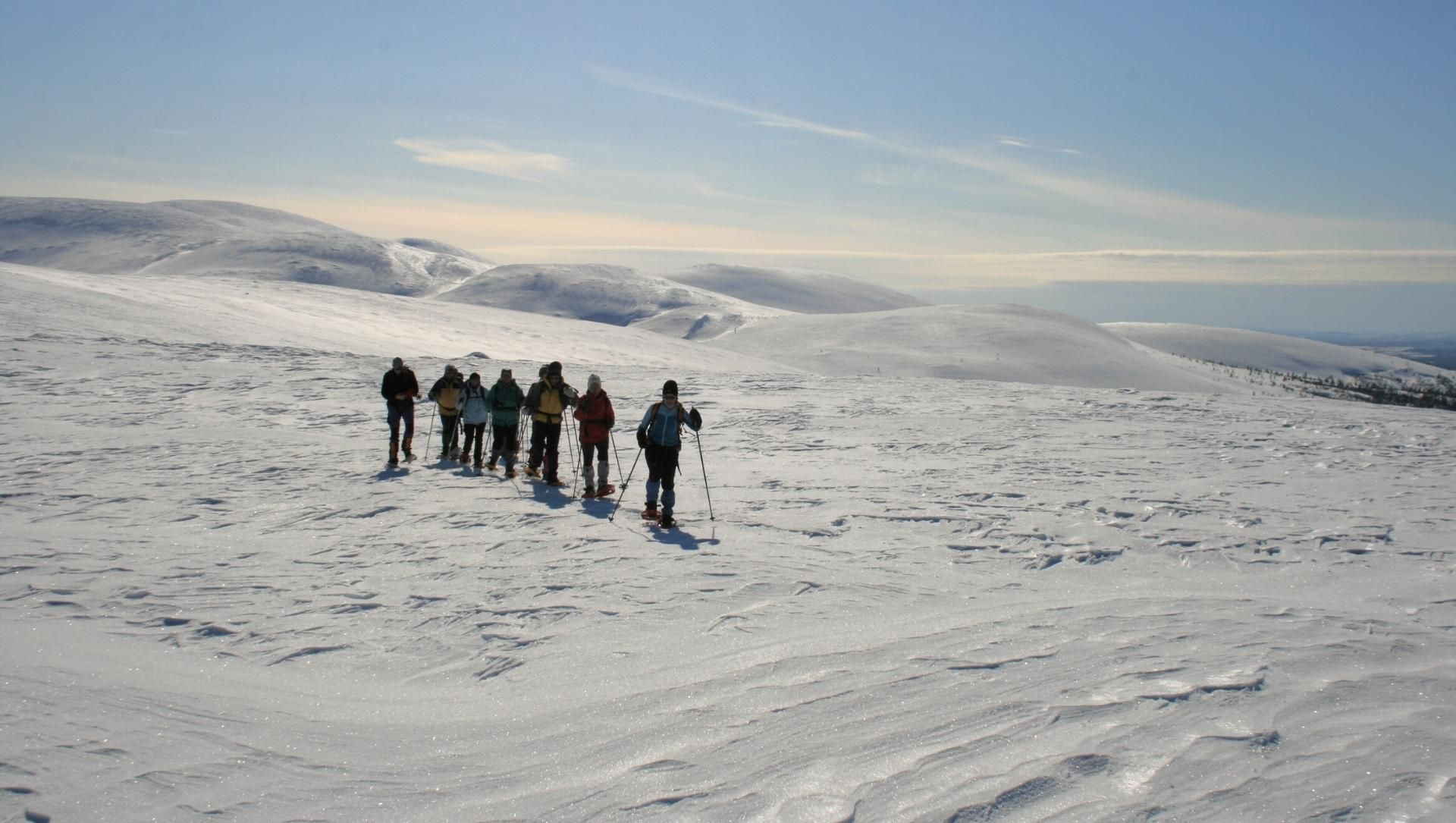 Groupe En Raquettes En Laponie Finlandaise - Laponie - Finlande