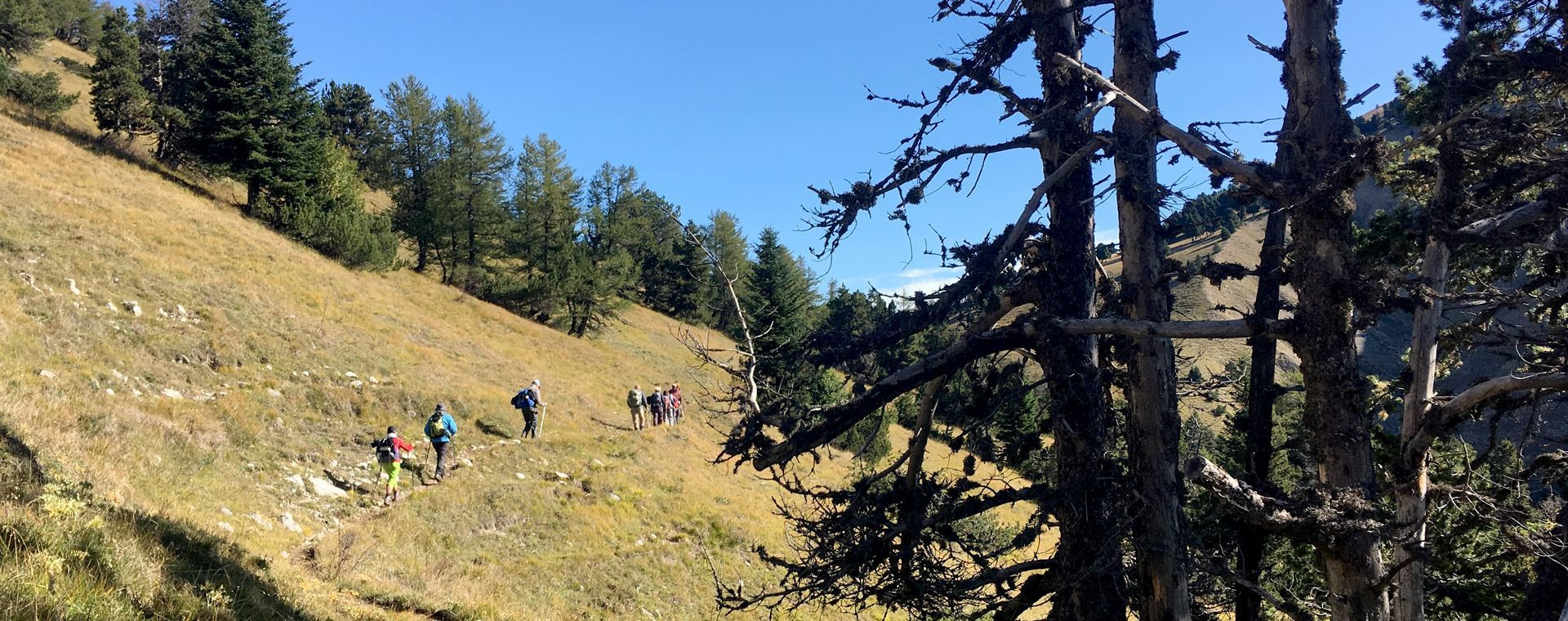 Groupe de randonneurs sur un sentier d'altitude - Dévoluy - France