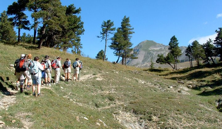 Groupe de randonneurs sur un sentier - Dévoluy - Alpes françaises