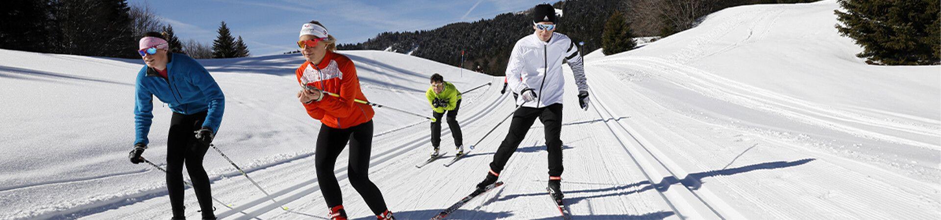 Groupe de skieurs de fond sur piste enneigée - Alpes - France