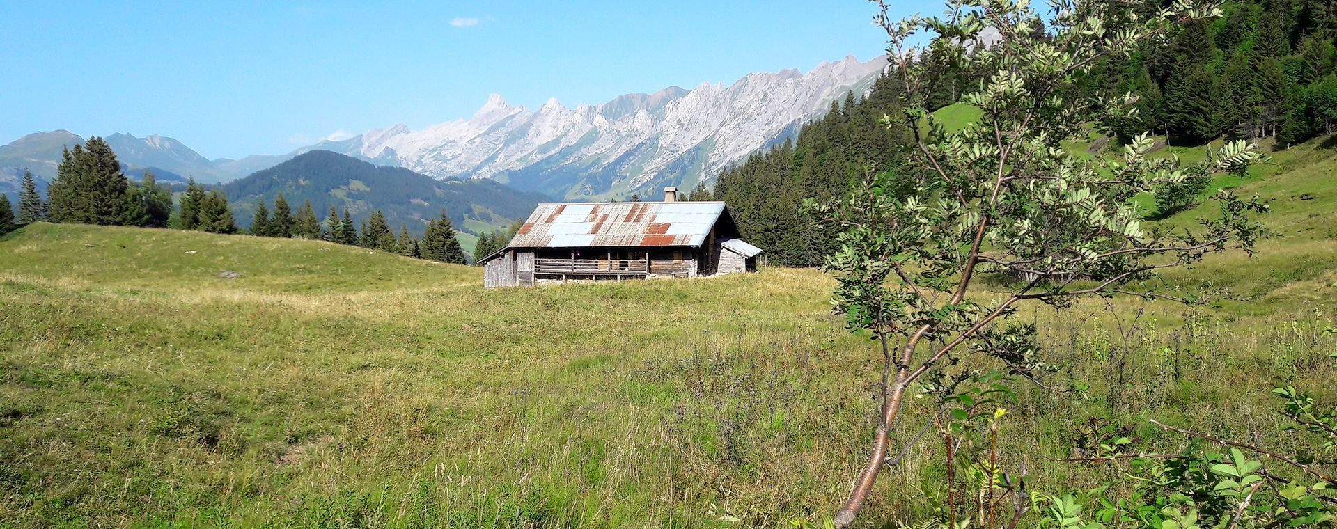 Chalet d'alpage dans les prairies des Aravis - Haute-Savoie - France
