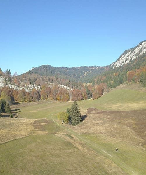 © David Praire Plaine d'Herbouilly - Vercors - France (2)