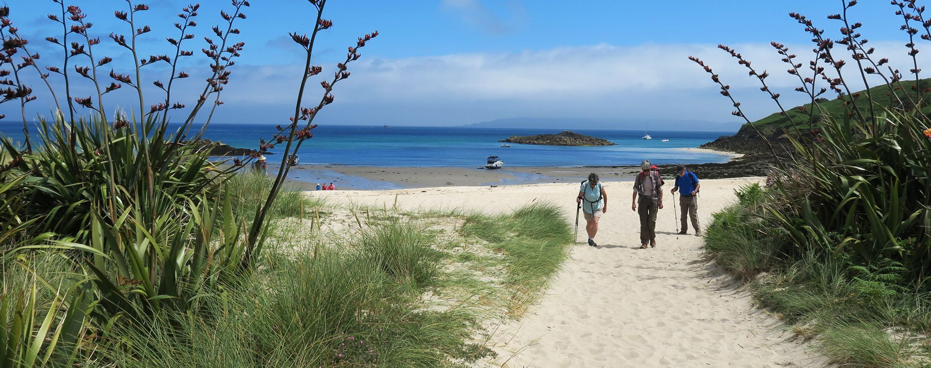 Herm Shell Beach