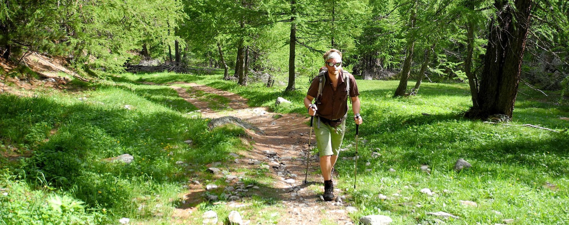 Randonneur sur un sentier forestier - Queyras - Hautes-Alpes - France