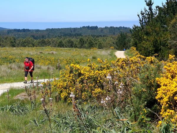 Randonneur sur les chemins de Saint-Jacques