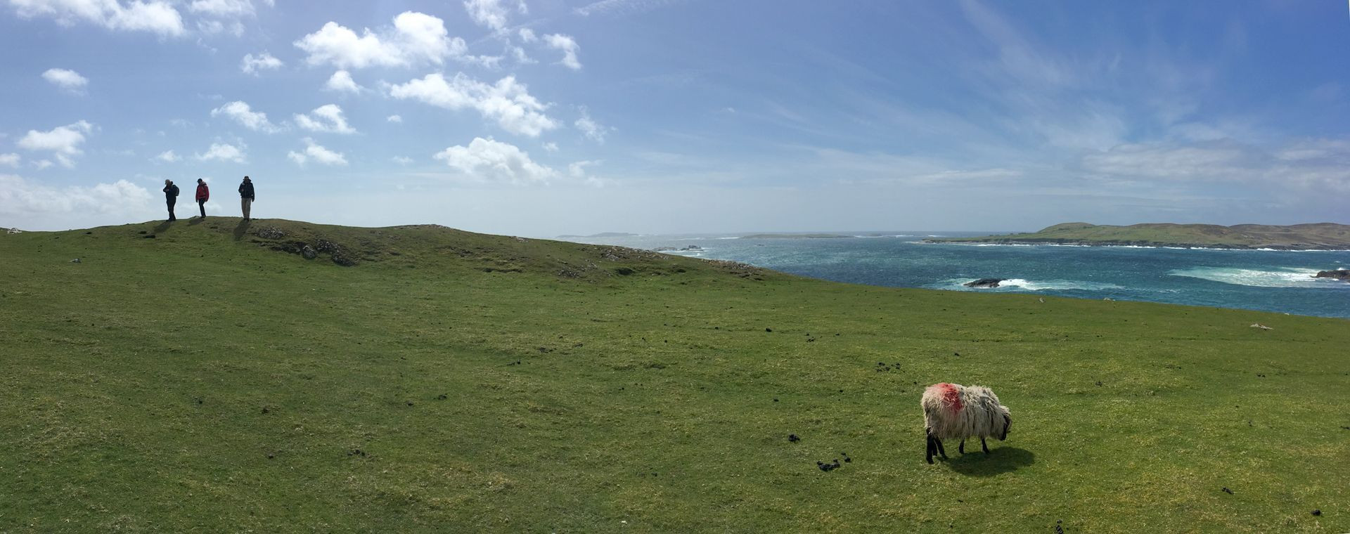 Randonneurs et mouton sur une prairie côtière - Irlande