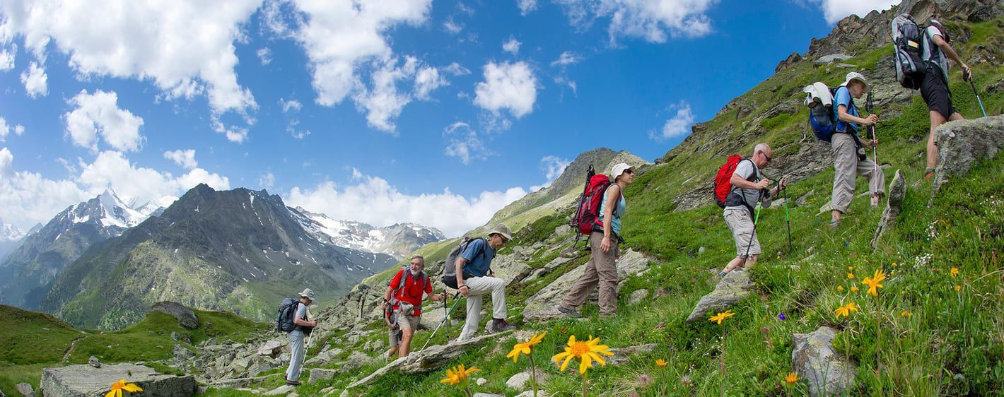 Randonneurs en alpage fleuri - Alpes - Trek Munich-Côme