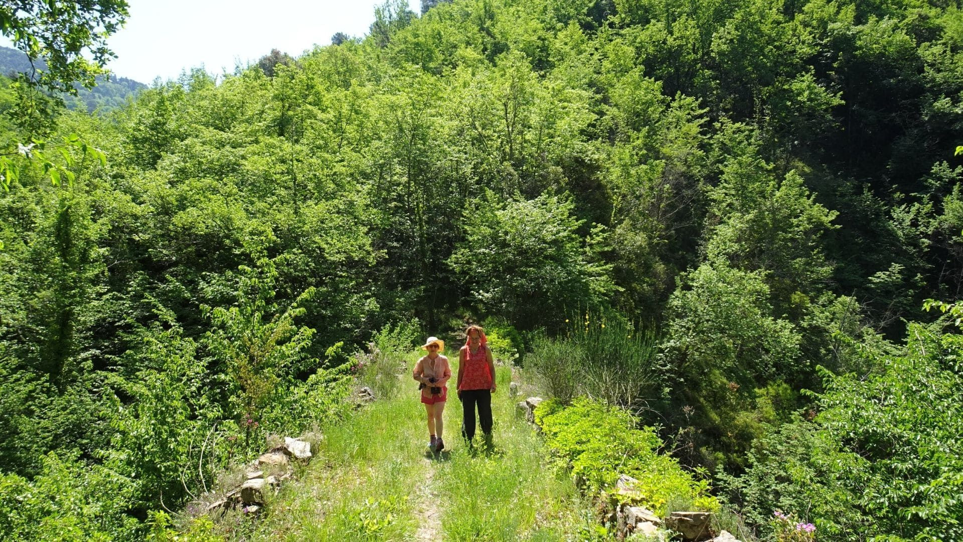 Randonneuses sur un sentier verdoyant - Entre Menton et San Remo - Riviera