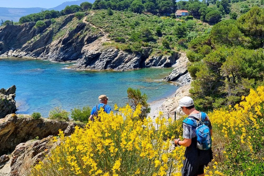Randonneurs sur les sentiers côtiers entre Collioure et Banyuls