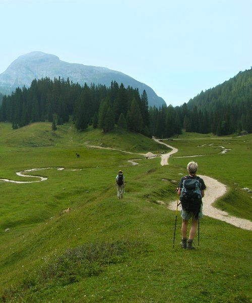 Randonneurs sur le sentier du Passo Limo dans les alpages - Dolomites - Italie