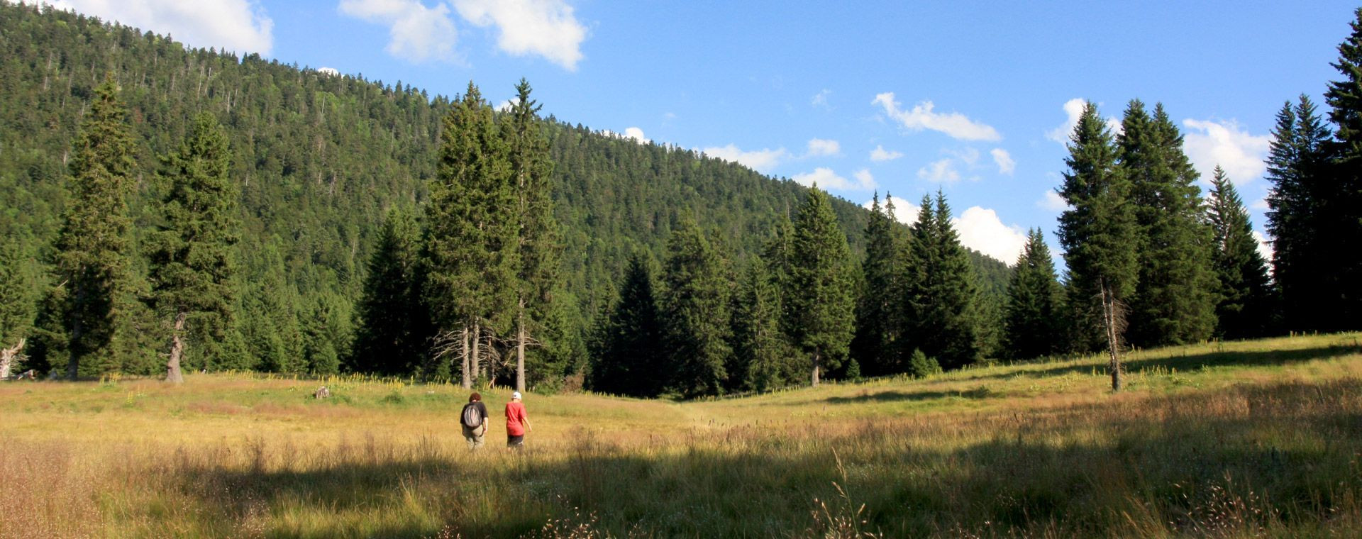 Randonneurs sur la plaine d'Herbouilly - Vercors - France