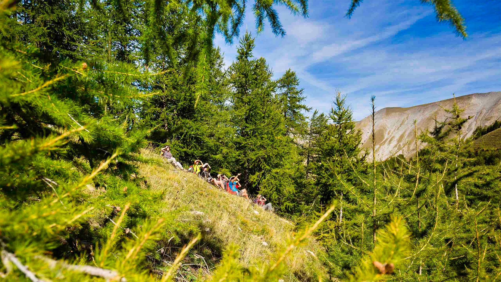 © Eric Burlet Pause des randonneurs - Buëch et Dévoluy - Hautes-Alpes - France