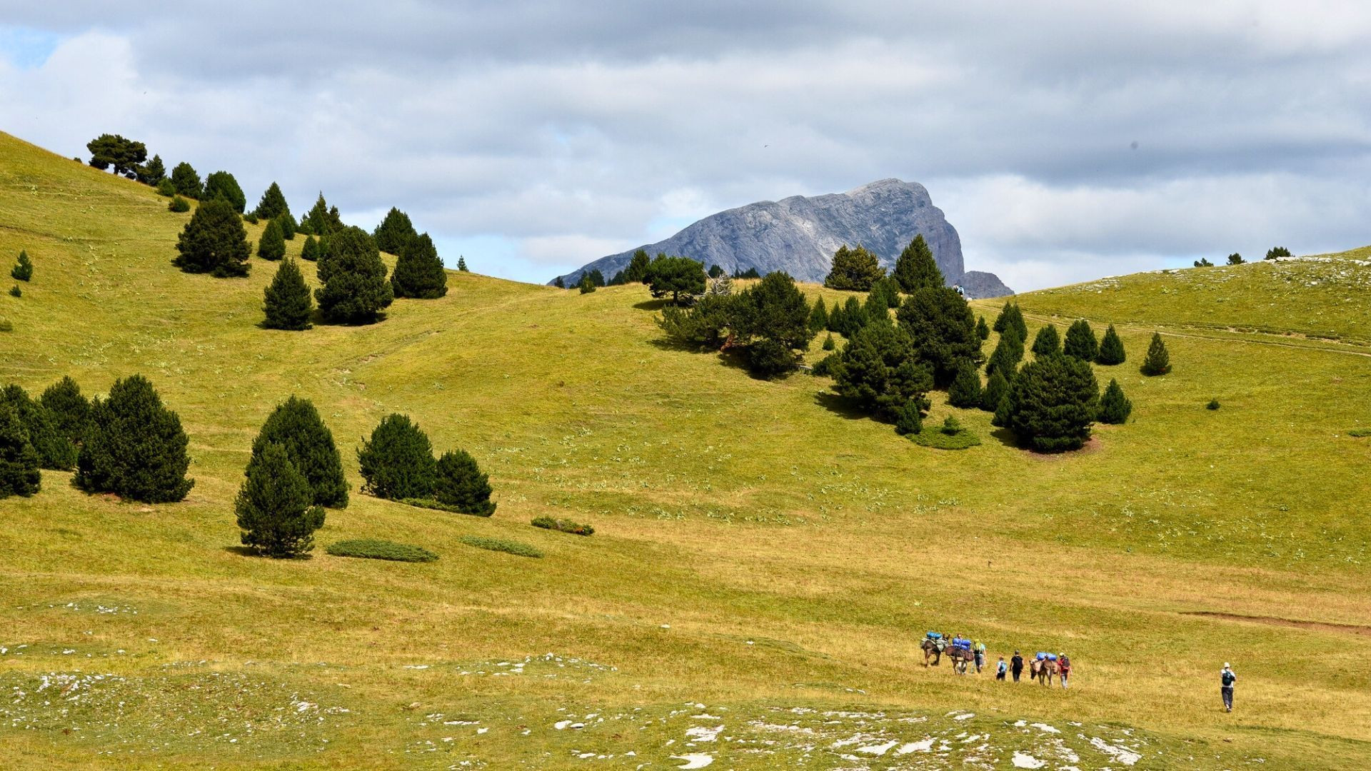 Randonneurs et ânes sur les alpages - Vercors - France