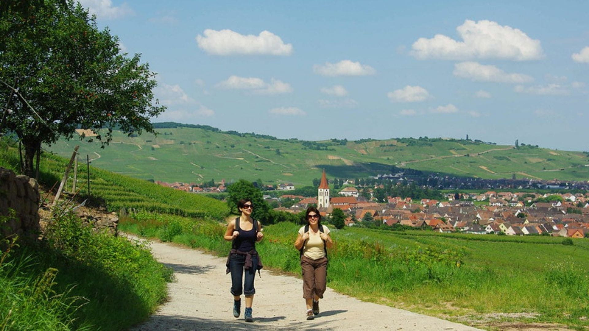 © Ardèche Sport Nature Randonnée au-dessus d'un village viticole - Alsace - France