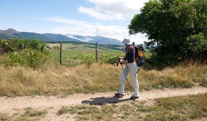 Randonneur sur le chemin dans les collines basques - Saint-Jean-Pied-de-Port - Camino Francés - France