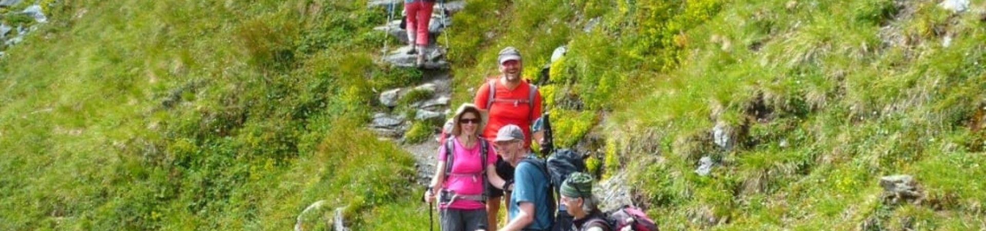 Groupe de randonneurs sur un sentier alpin verdoyant - Alpes - France