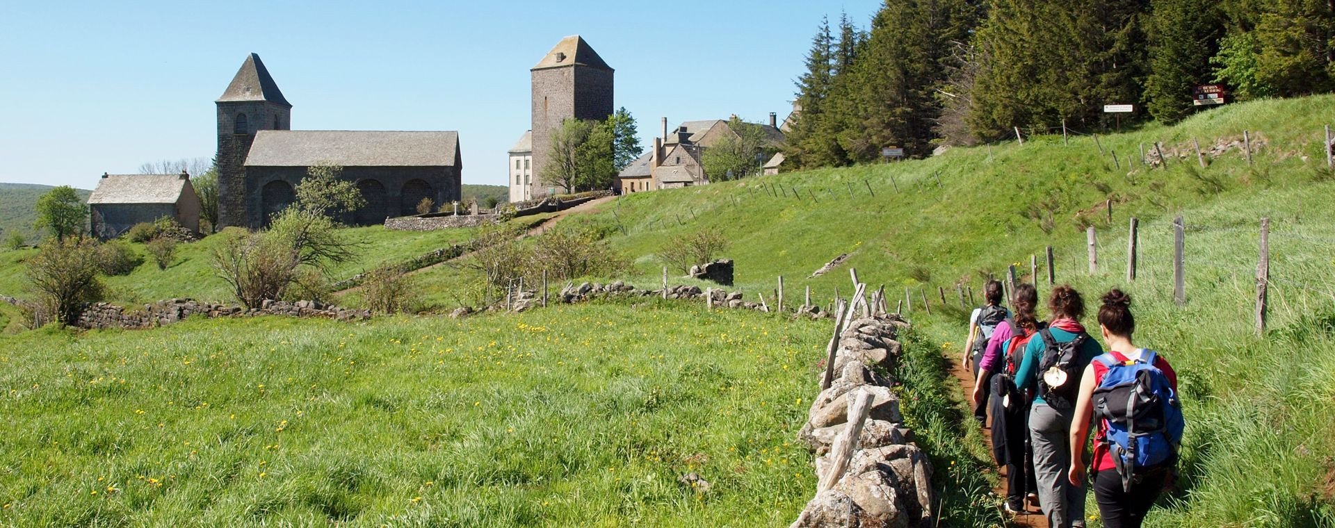 Randonnée dans le vignoble alsacien - Alsace - France