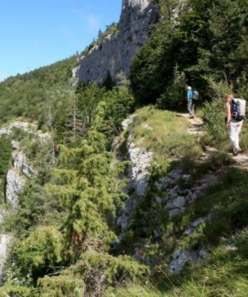© Wilfrid Valette Sentier de randonnée entre Autrans et Rencurel - Vercors - France