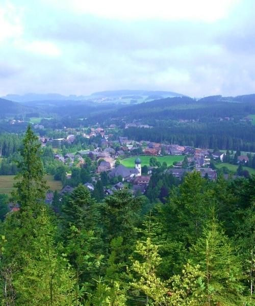 © Pixabay hinterzarten_c_pixabay__0.jpg