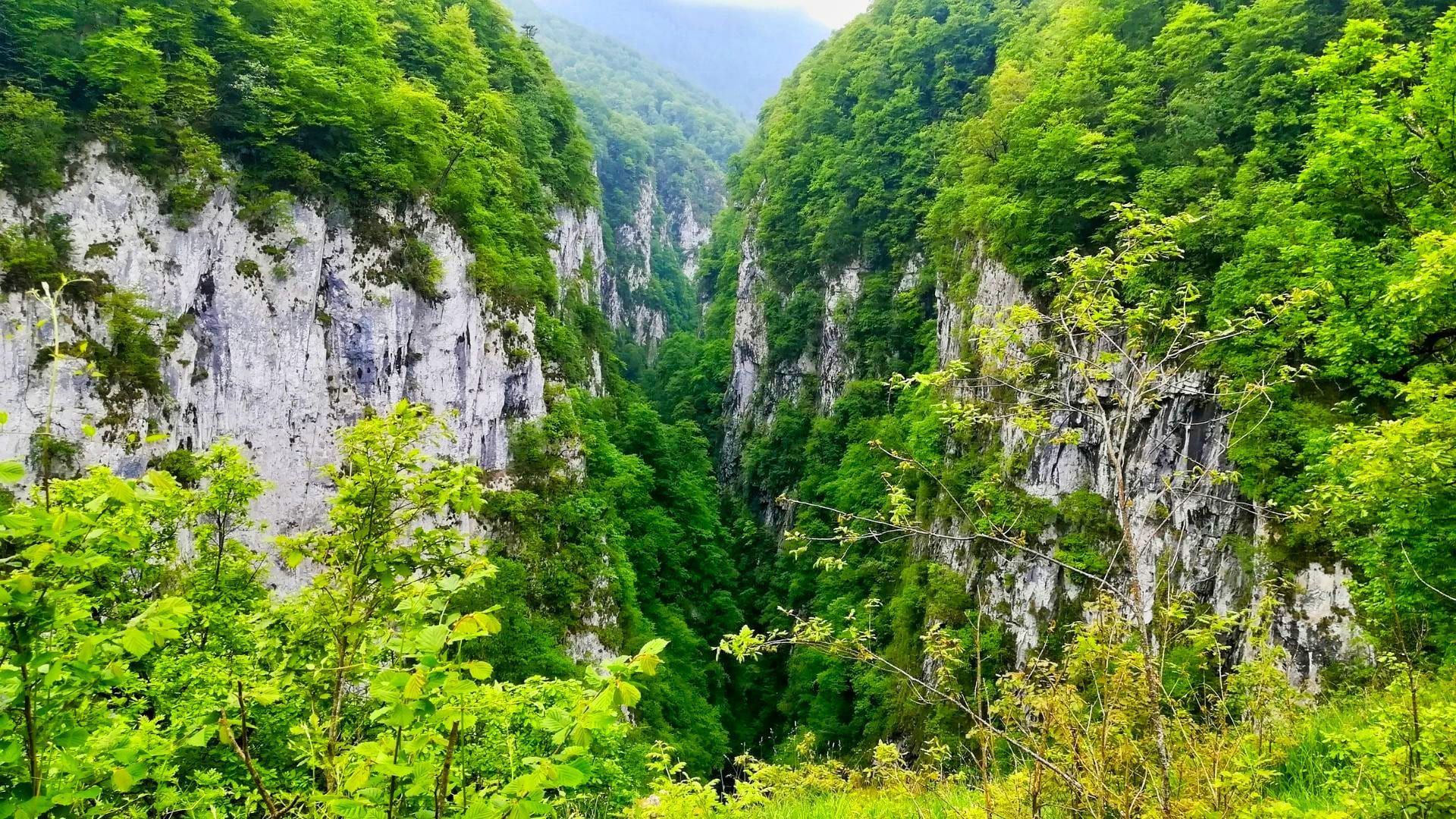 Gorges d'Holzarte sur le GR10 - Pyrénées-Atlantiques - France