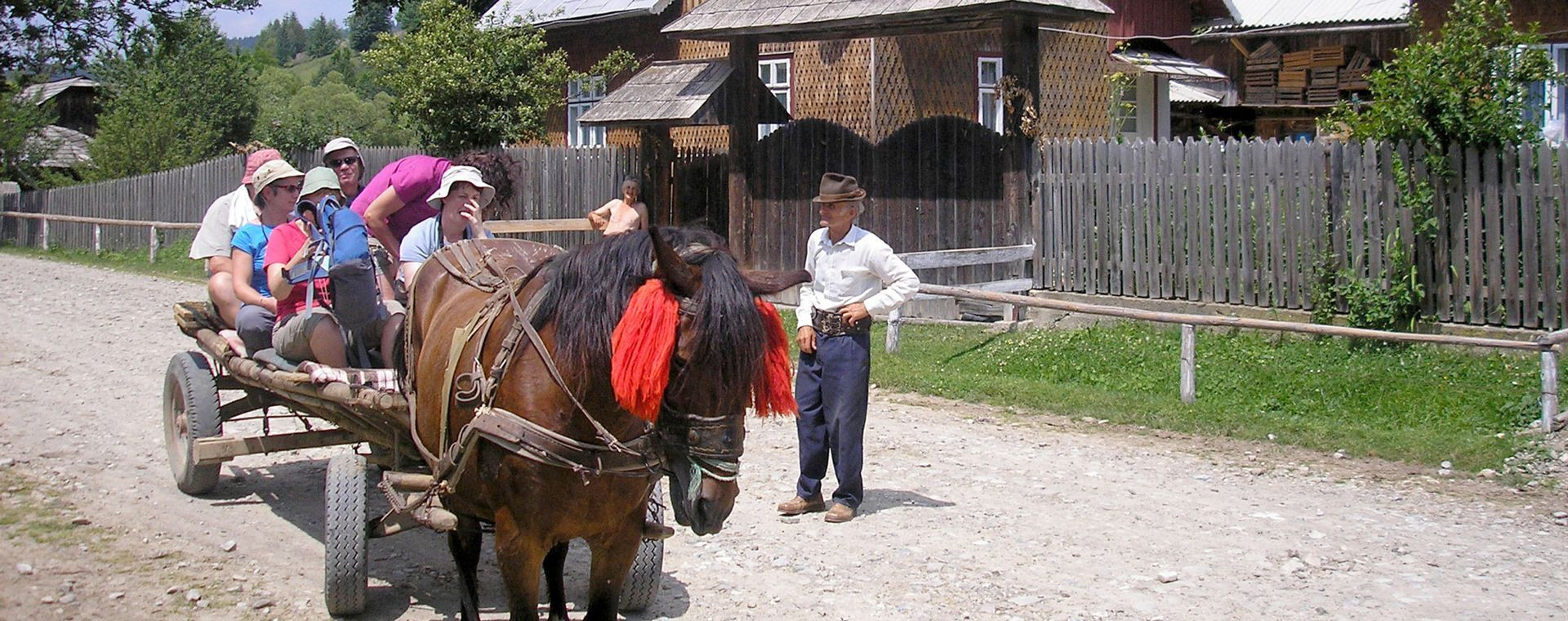 Charrette tirée par un cheval dans un village - Roumanie