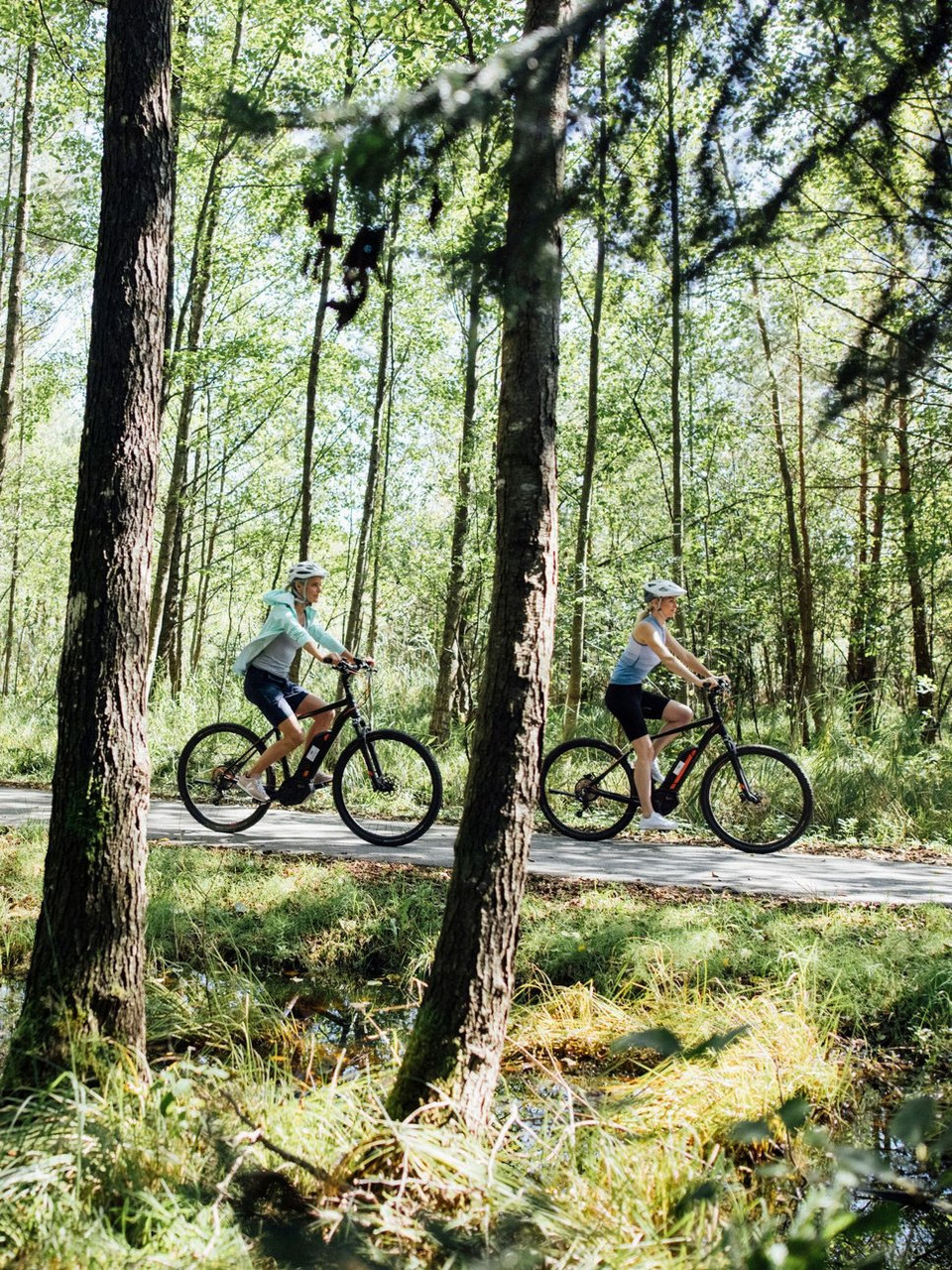 Le vélo à assistance électrique (VAE)