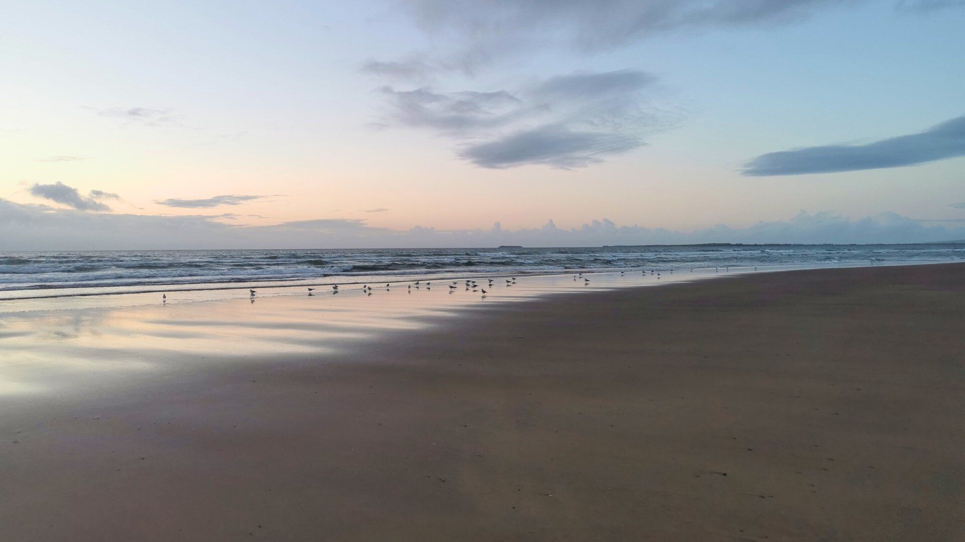 Plage de sable et oiseaux au crépuscule - Anneau du Kerry - Irlande