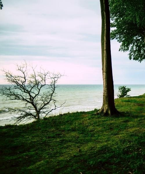 Côte de l'île de Møn - Danemark