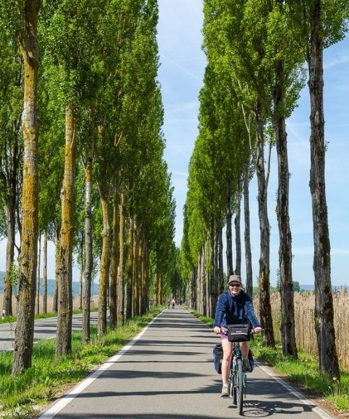 © Cyril Torterotot J5 Cycliste Le Long Du Lac