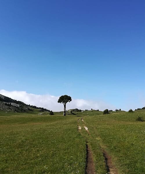 © Adrien Ozanon J5 Plaine De Queyrie