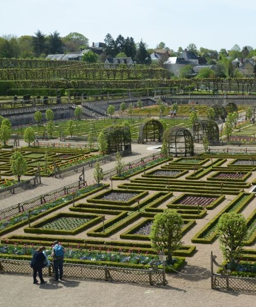Jardins à la française du château de Villandry - Loire - France (3)