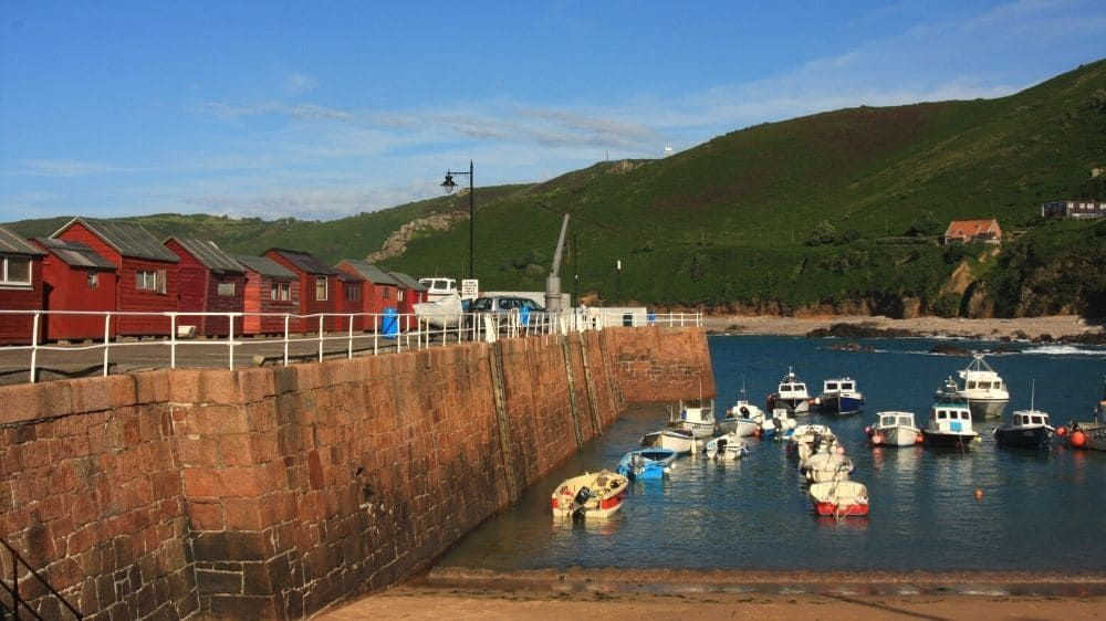 © François Ribard Jersey Bonne Nuit Bay