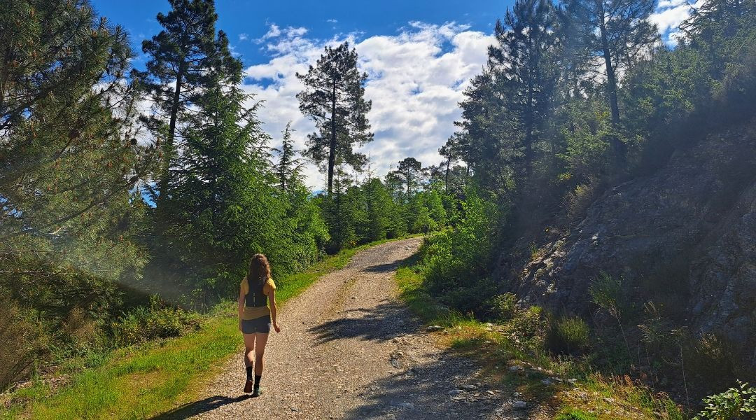 Jour 4, sentier