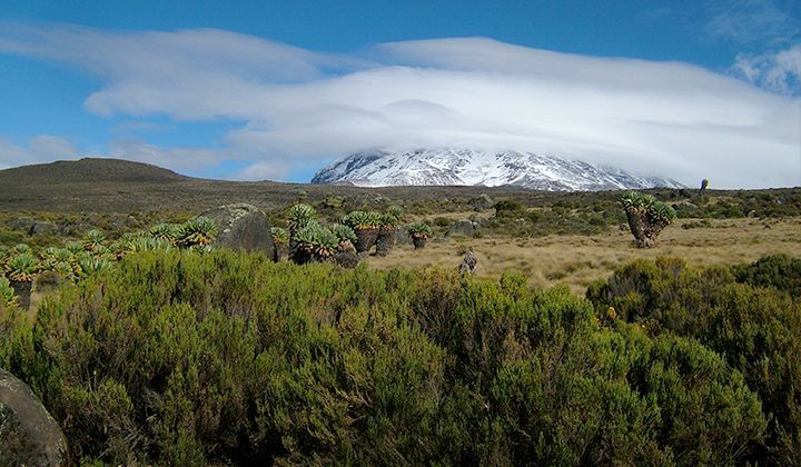 kilimandjaro.jpg