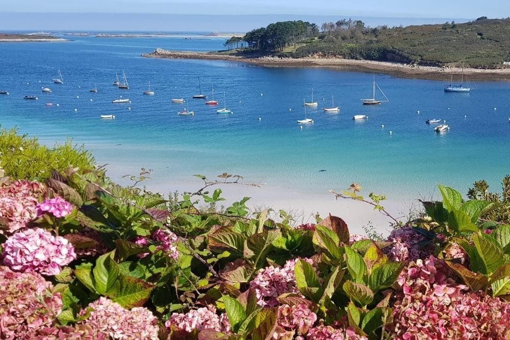 L'Aber Benoît depuis le village de Saint Pabu