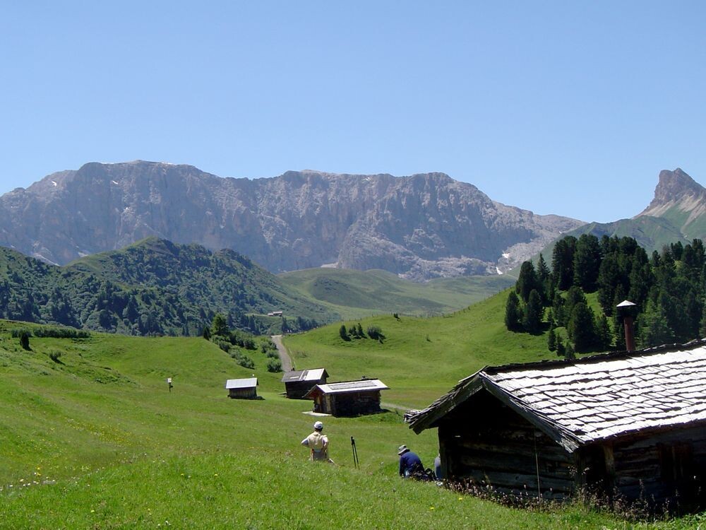 L'alpe de Siusi vers le refuge Zallinger