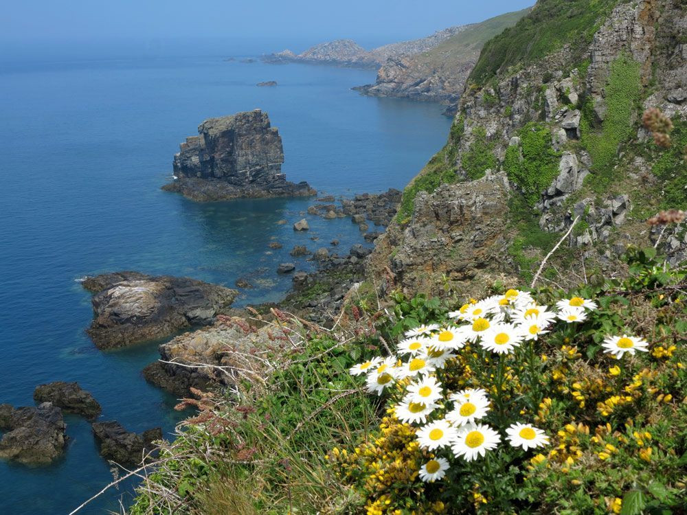 © François Ribard La côte de Sark, abrupte et sauvage et les rochers des Autelets © François Ribard
