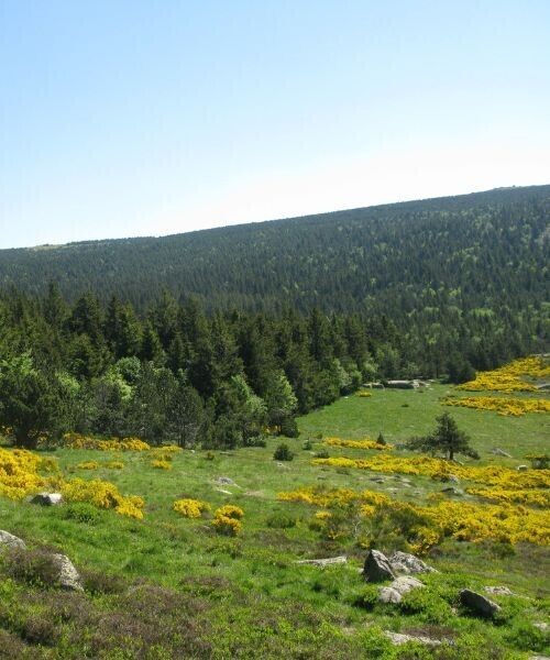 La Mourade