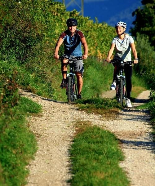piste_cyclable_dans_la_vallee_du_danube.jpg