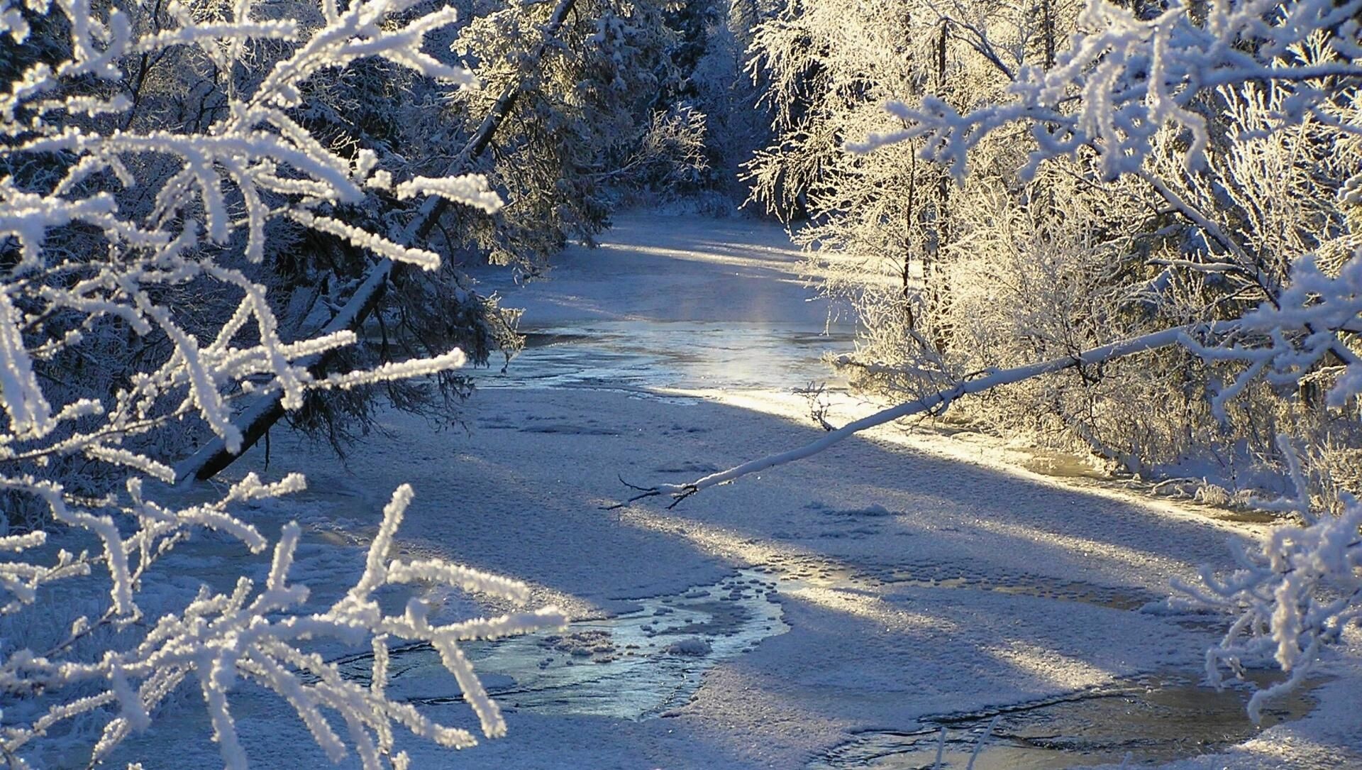 Rivière gelée bordée d'arbres givrés - Laponie finlandaise - Finlande
