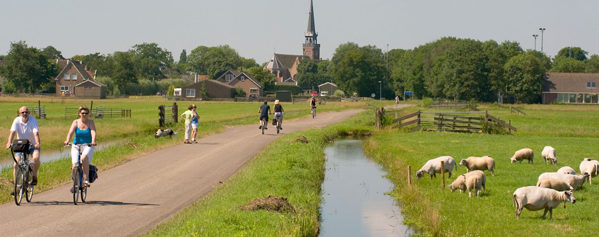 Cyclistes et moutons le long d'un canal vers un village - Lac d'IJssel - Pays-Bas