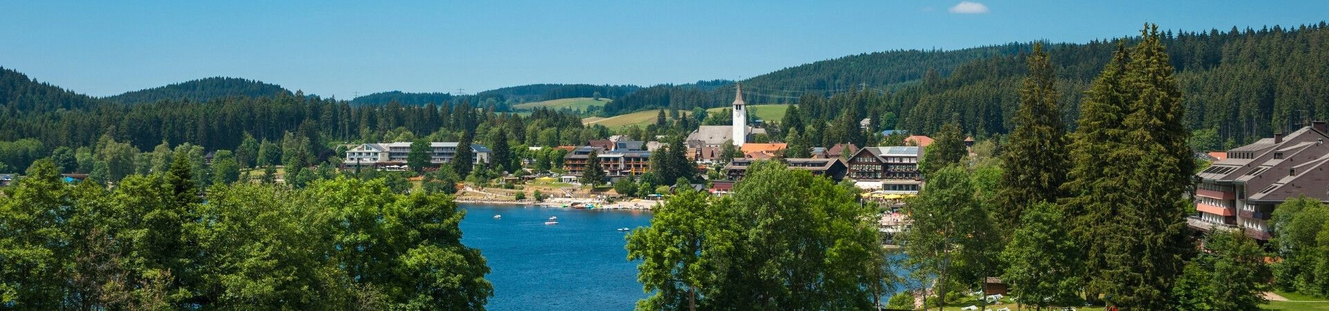 Séjours organisés en Forêt-Noire en 2026